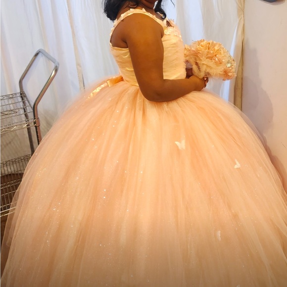 Elegant Pink Tulle Gown with Butterfly Accents - Picture 2 of 4